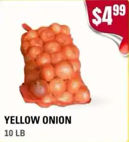 Atiya's Fresh Farm Yellow Onion offer