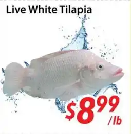 Bestco Food Mart Live White Tilapia offer