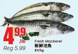 Btrust Supermarket Fresh Mackerel offer
