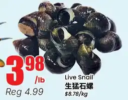 Btrust Supermarket Live Snail offer