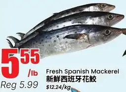 Btrust Supermarket Fresh Spanish Mackerel offer
