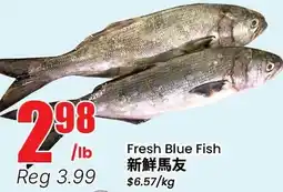Btrust Supermarket Fresh Blue Fish offer