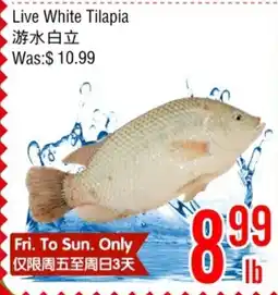 Fresh Value Live White Tilapia offer