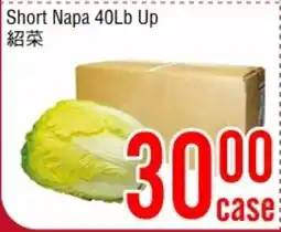 Fresh Value Short Napa offer