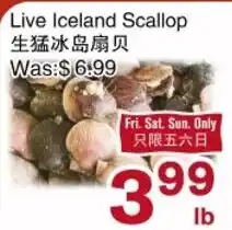 First Choice Supermarket Live Iceland Scallop offer