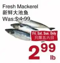 First Choice Supermarket Fresh Mackerel offer