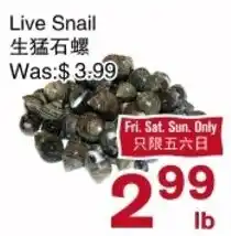 First Choice Supermarket Live Snail offer