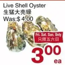 First Choice Supermarket Live Shell Oyster offer