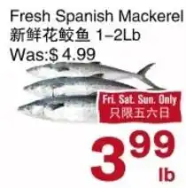 First Choice Supermarket Fresh Spanish Mackerel offer