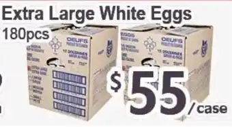 Oeufs Extra Large White Eggs