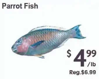 Parrot Fish