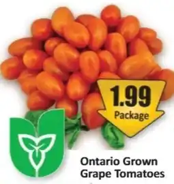 Starsky Ontario Grown Grape Tomatoes offer