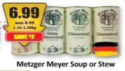 Starsky Metzger Meyer Soup or Stew offer