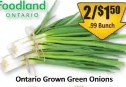 Starsky Foodland Ontario Green Onions offer