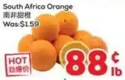 Foody Mart South Africa Orange offer