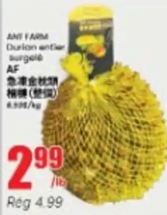 Ant farm durian antier surgelé