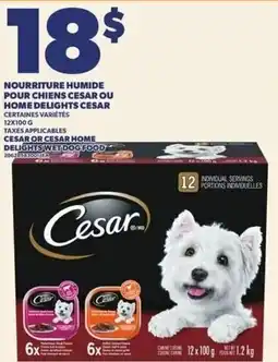 Provigo Cesar wet dog food offer