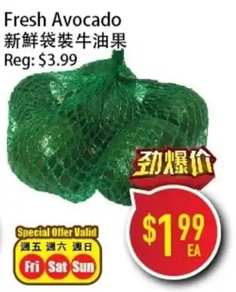 Fresh Avocado