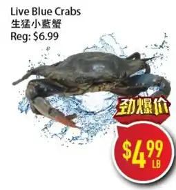 Full Fresh Supermarket Live Blue Crabs offer