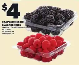 Loblaws Raspberries or Blackberries offer