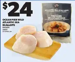 Loblaws Ocean Pier Wild Atlantic Sea Scallops offer