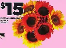 Loblaws Fiesta sunflower bunch offer