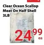 Clear Ocean Scallop Meat On Half Shell