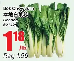 Btrust Supermarket Bok Choy Sum offer