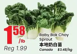 Btrust Supermarket Baby Bok Choy Sprout offer