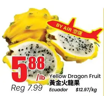 Yellow Dragon Fruit