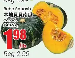 Btrust Supermarket Bebe Squash offer