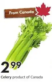 Sobeys Celery offer