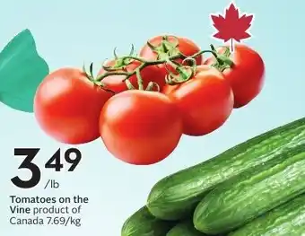 Sobeys Tomatoes on the Vine offer