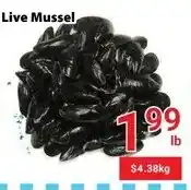Nations Fresh Foods Live Mussel offer