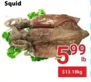 Nations Fresh Foods Squid offer