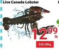Nations Fresh Foods Live Canada Lobster offer