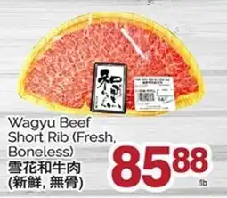 T&T Supermarket Wagyu Beef Short Rib offer