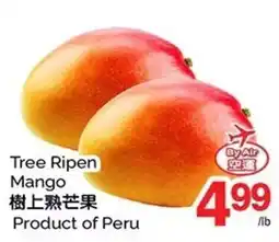 T&T Supermarket Tree Ripen Mango offer