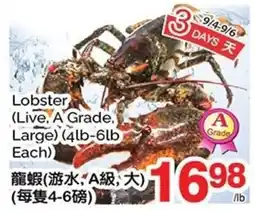 T&T Supermarket Lobster offer