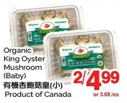 T&T Supermarket Enviro organic king oyster mushroom (baby) offer