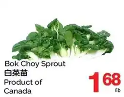 T&T Supermarket Bok Choy Sprout offer