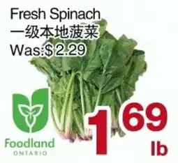 First Choice Supermarket Fresh Spinach offer