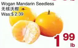 First Choice Supermarket Wogan Mandarin Seedless offer
