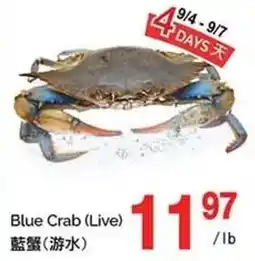 T&T Supermarket Blue Crab (Live) offer