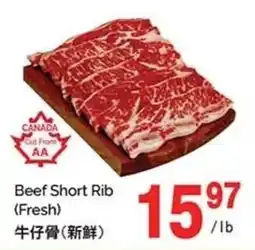 T&T Supermarket Beef Short Rib offer