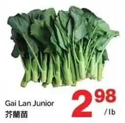 T&T Supermarket Gai Lan Junior offer