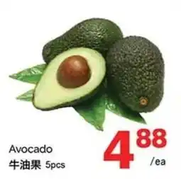 T&T Supermarket Avocado offer