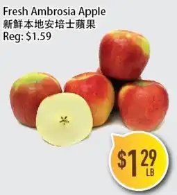 Full Fresh Supermarket Fresh Ambrosia Apple offer