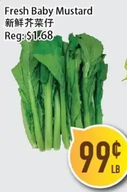 Full Fresh Supermarket Fresh Baby Mustard offer