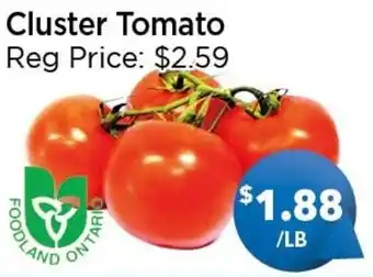 Cluster Tomato